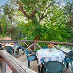 Gaiano Tatil Evi